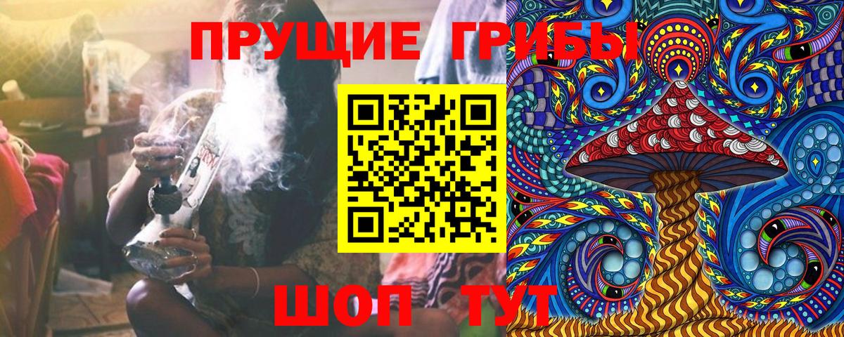 Мурманск  сколько стоит  Вход с VPN  Псилоцибиновые грибы мухоморы 
