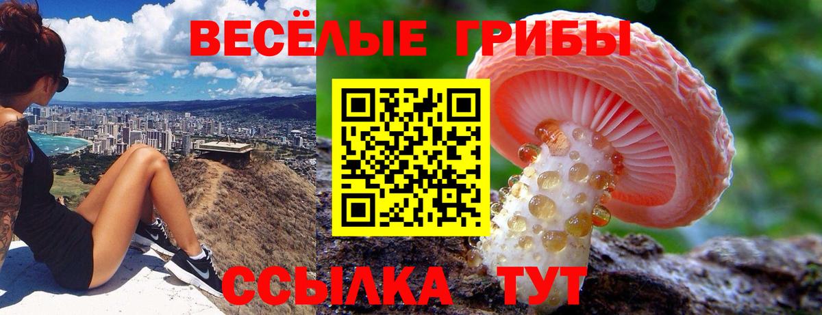 Галлюциногенные грибы GOLDEN TEACHER Мурманск
